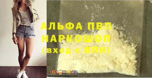 СК Горно-Алтайск