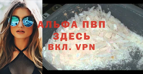 стаф Горняк