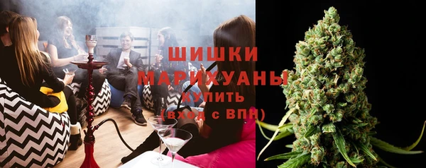 PSILOCYBIN Вязники