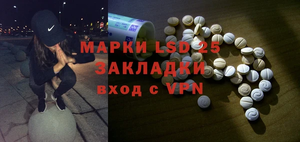 стаф Горняк